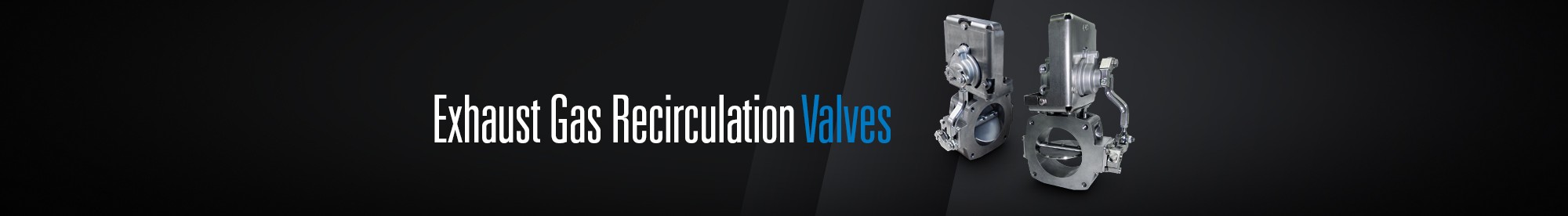Exhaust Gas Recirculation | Pacbrake